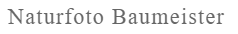 Naturfoto Baumeister logo